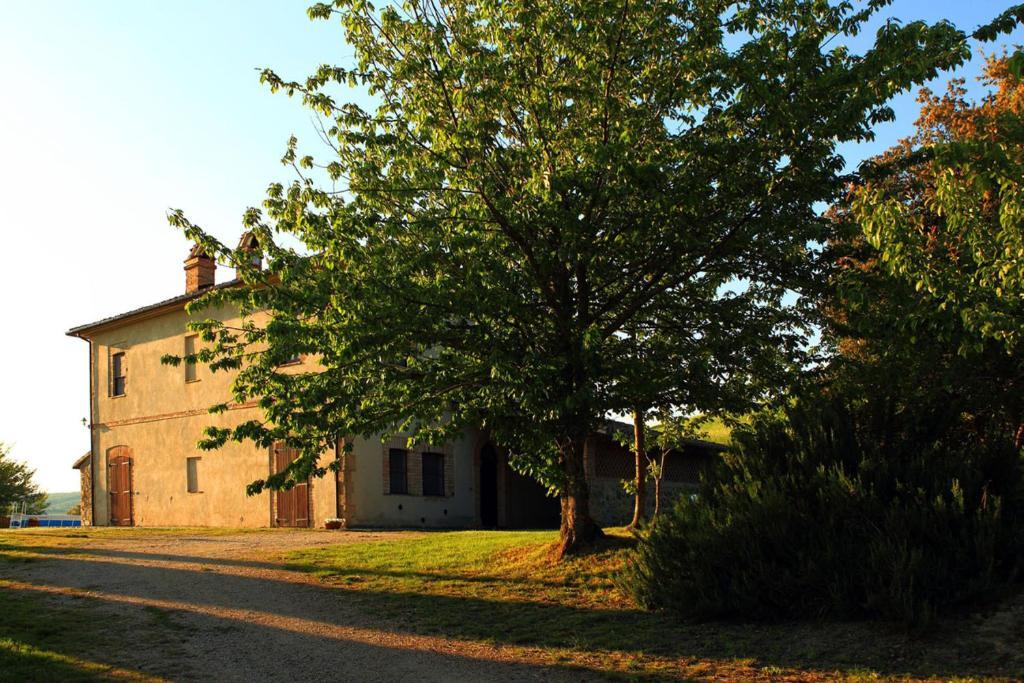 Tenuta Di Corbara Corbara  Habitación foto