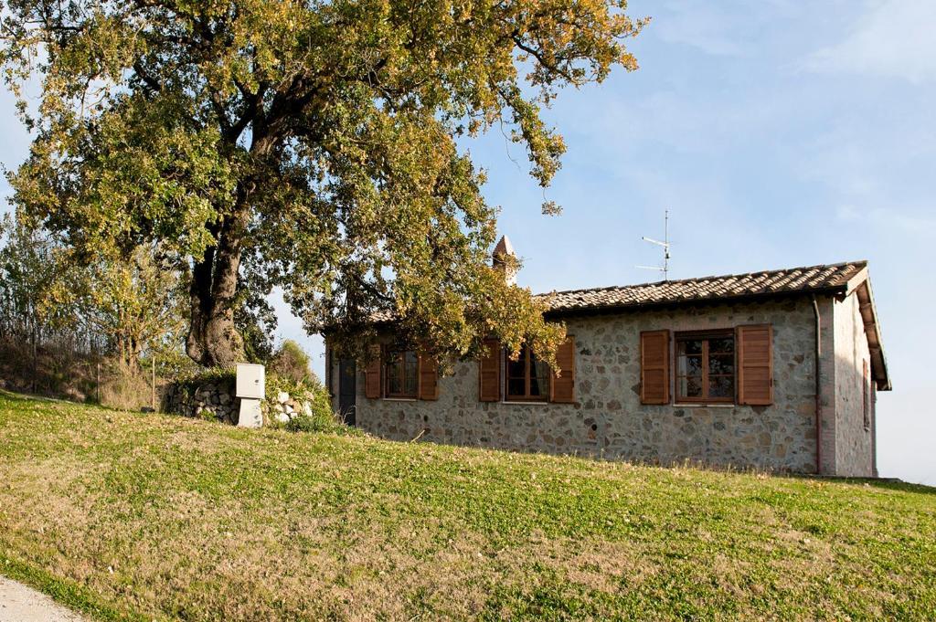 Tenuta Di Corbara Corbara  Exterior foto